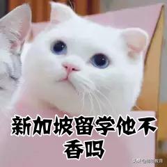 2021留学去哪个国家好,留学不用出国的学校好吗