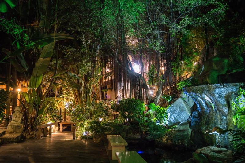 厦门冬春攻略,夏天厦门旅游攻略美食篇