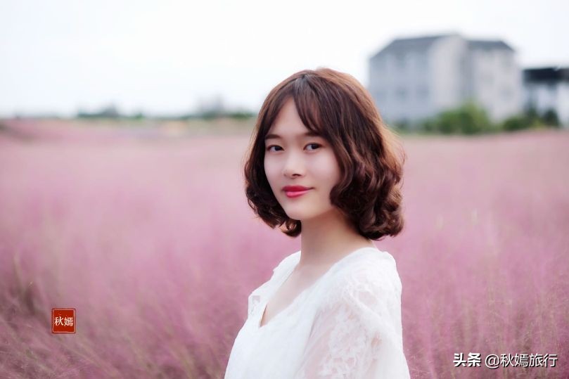 常熟粉黛花海景点,常熟市油菜花田