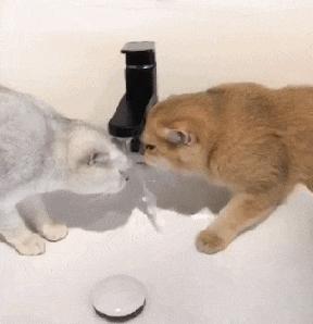 想知道上面的这个洞洞是用来干什么的？