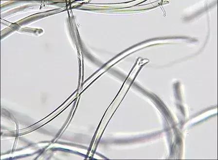 纺织纤维与面料分析介绍,天然纤维面料基础知识大全