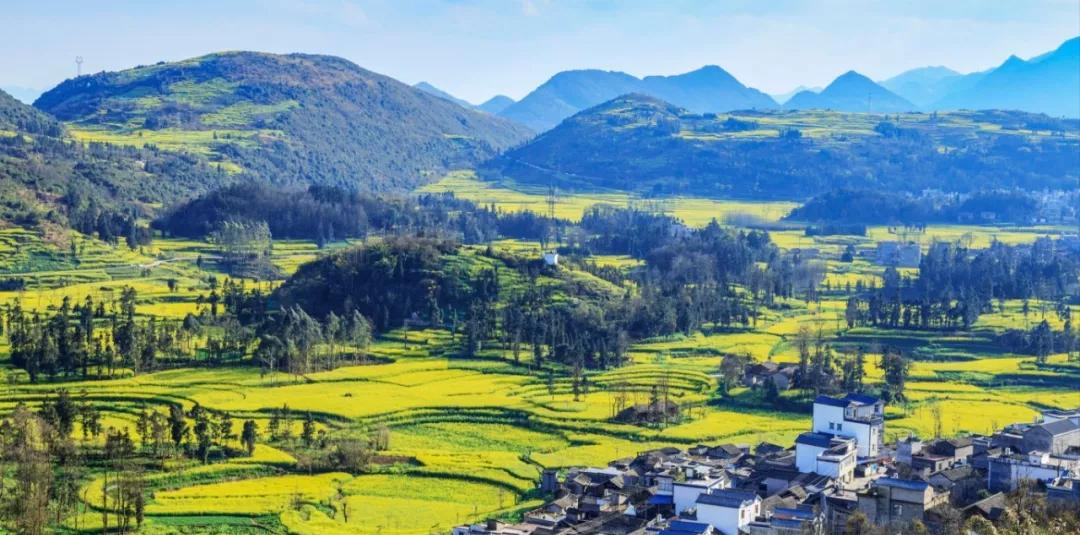 成都pk郑州哪个强,成都跟郑州谁更强