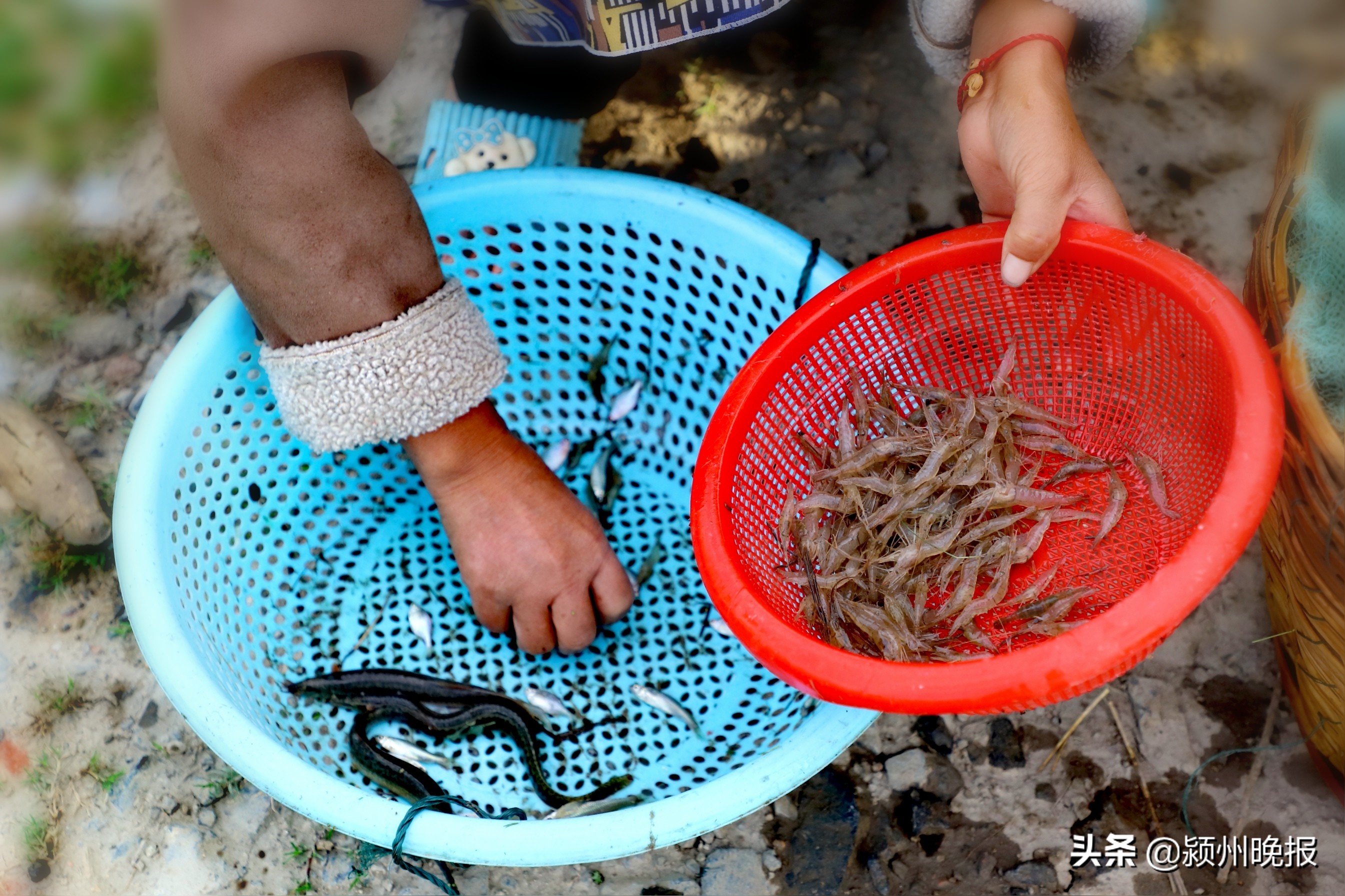 淮河岸边的美食,流哈喇子美食