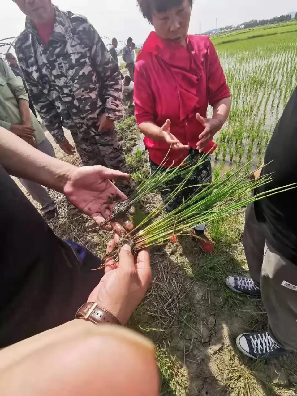 眼见为实看产品效果,眼见为实看到的是什么