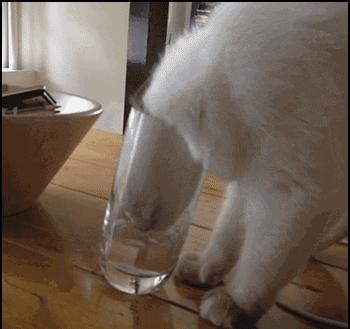 净水机净热一体壁挂式,能烧开水的净饮一体机