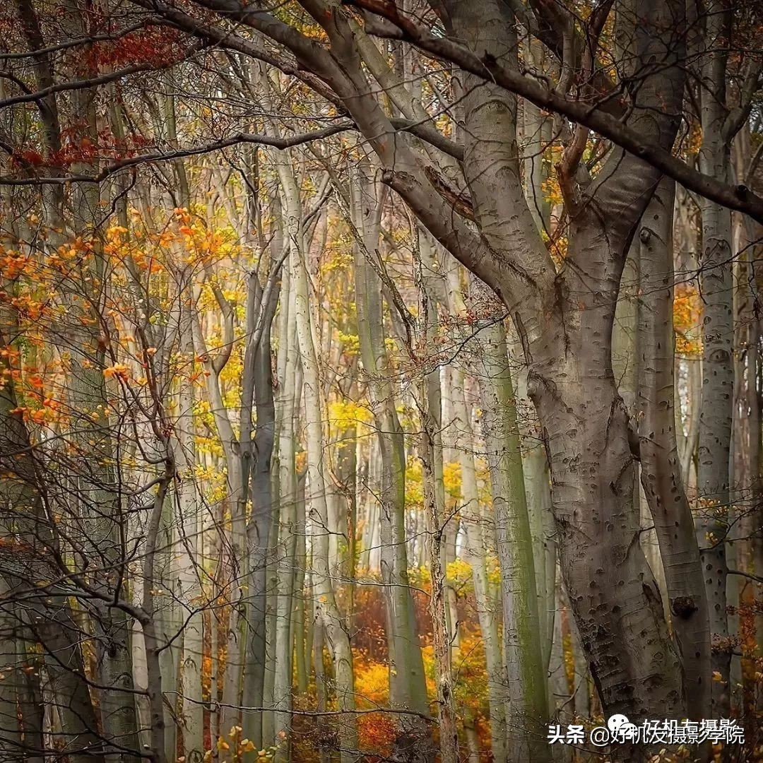 iso越低画面越亮还是暗,iso越低越好吗