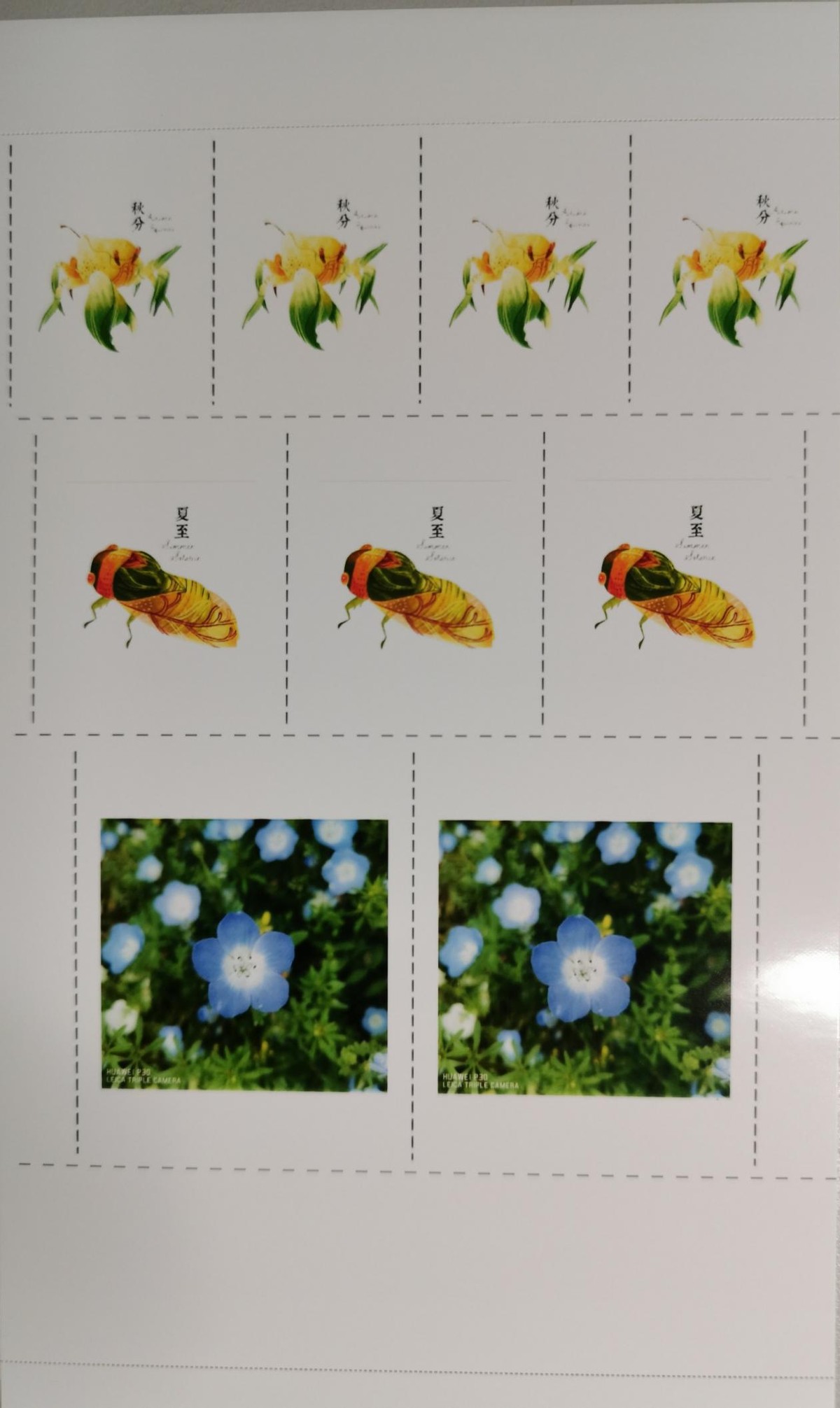 打印机无死角打印照片,打印照片的随身打印机带胶