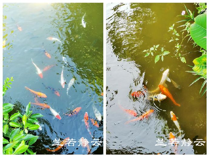 长泰半月山温泉酒店团购,长泰半月山温泉酒店附近景点