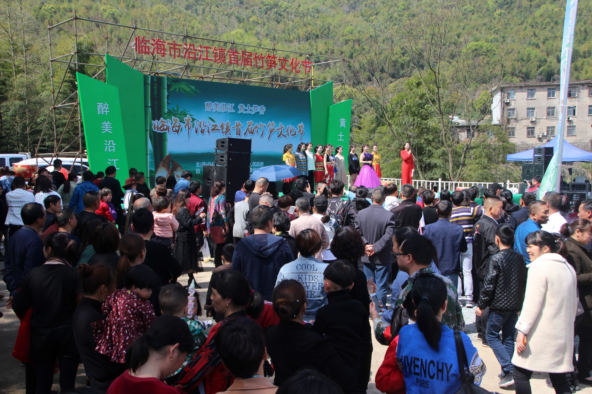 浙江临海沿江镇竹笋,临海市野生竹笋