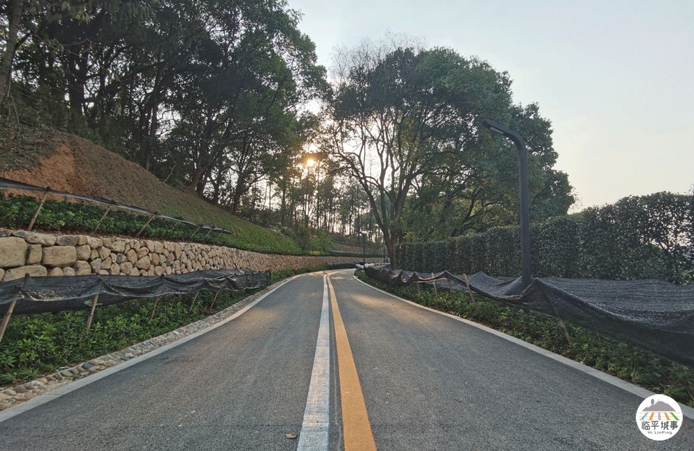 临平体育馆改扩建有篮球场吗,体育公园篮球场施工