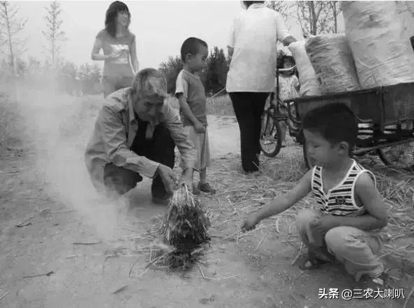 没这样吃过小麦,还好意思说你是农村人?烤麦,满满的回忆!