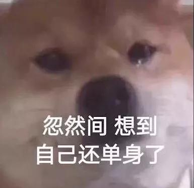 十大最撩人香水排行榜,撩死人的香水推荐