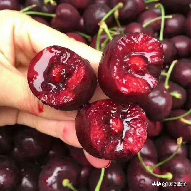 车厘子与大樱桃的区别,爱吃樱桃车厘子
