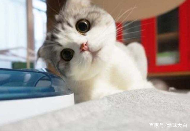 “因为”你只会说“because”吗？还有这几种说法你可以学学！