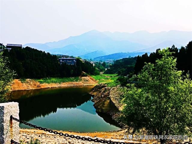 梨木台景林农家院,梨木台景林农家院直播