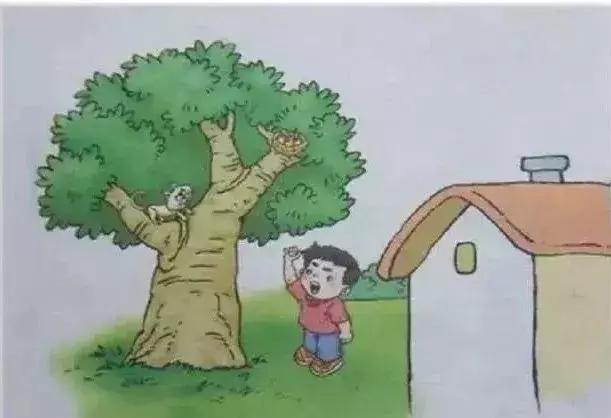 二年级看图写话38篇+范文，写话小达人，非你莫属