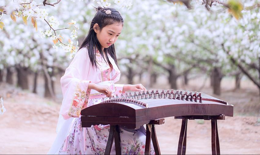 学古筝是去琴行好还是去培训班好,买古筝去淘宝买吗