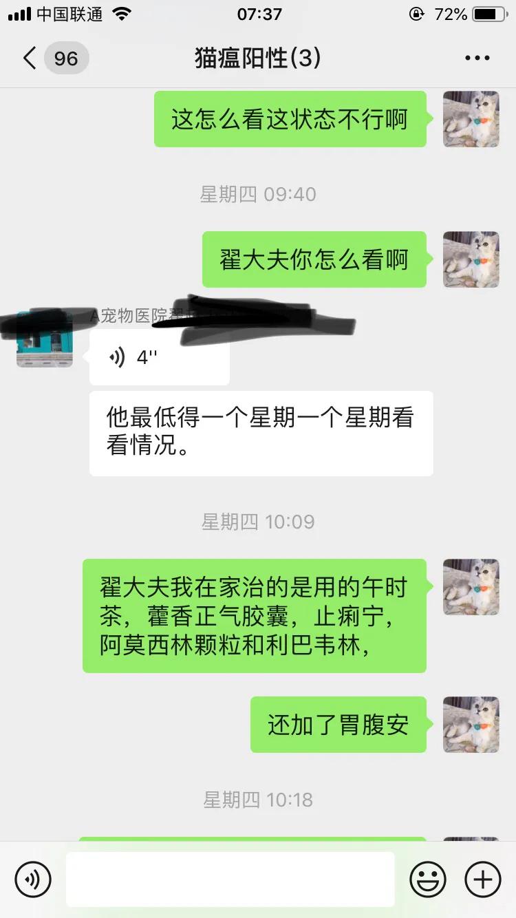 爆发猫瘟,猫瘟日常