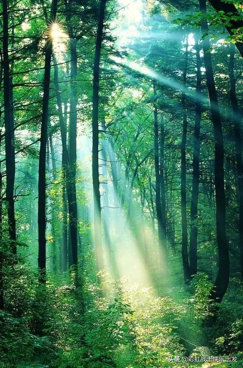 蓝牙经常出现的问题,蓝牙连接常见故障及解决方法