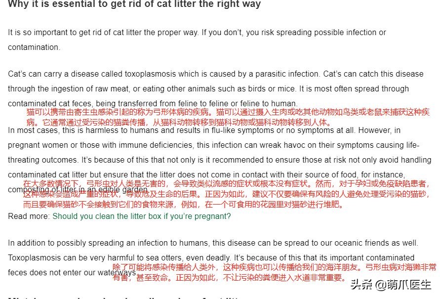 猫砂算垃圾分类的哪一种,猫砂垃圾分类怎么处理