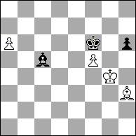 阿洛尼昂访谈录（二）职业生涯