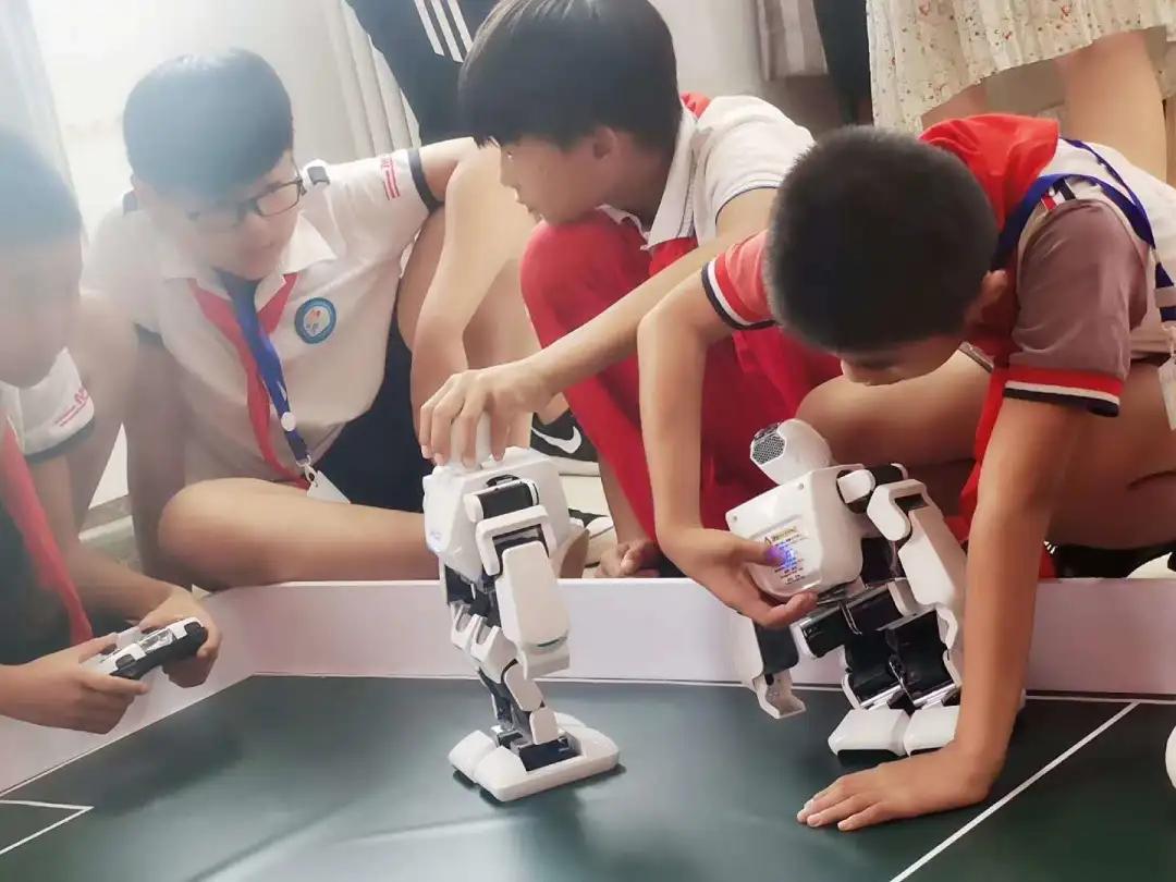 滨海新区小学校园,天津滨海新区小学环境