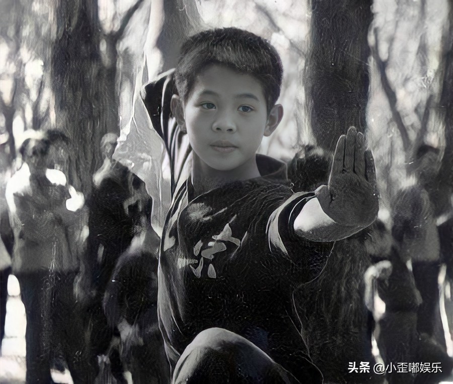 李连杰婚外情,李连杰两段婚姻