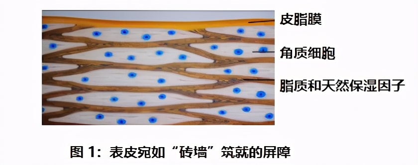 宝宝湿疹的护理小妙用视频,婴儿湿疹大作战之护理的6大要点