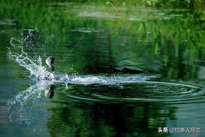 最简单的调漂法,最简单的调漂方法有几种