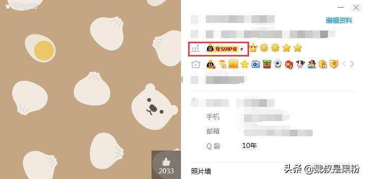 qq会员和大会员区别,qq会员20元永久免费
