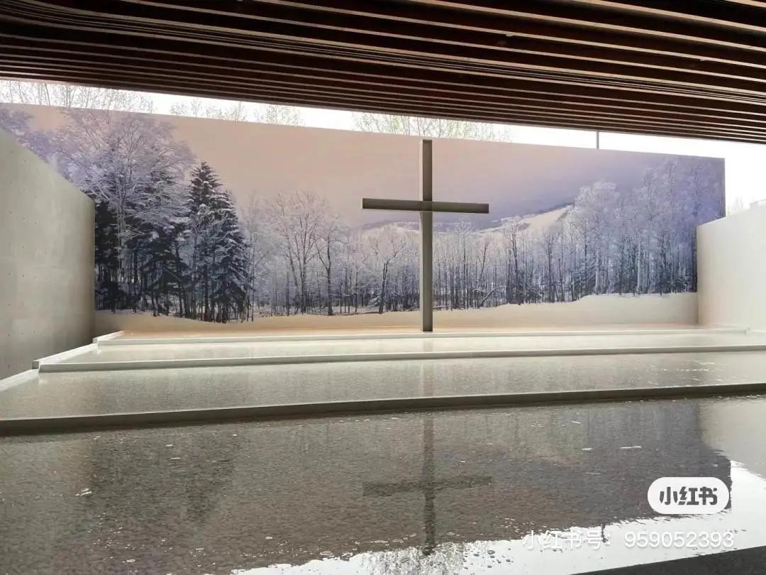 *光春**所剩无几，快，去散步吧