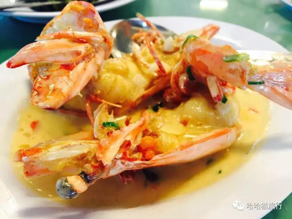 马来西亚落地免签,马来西亚落地签最新入境政策