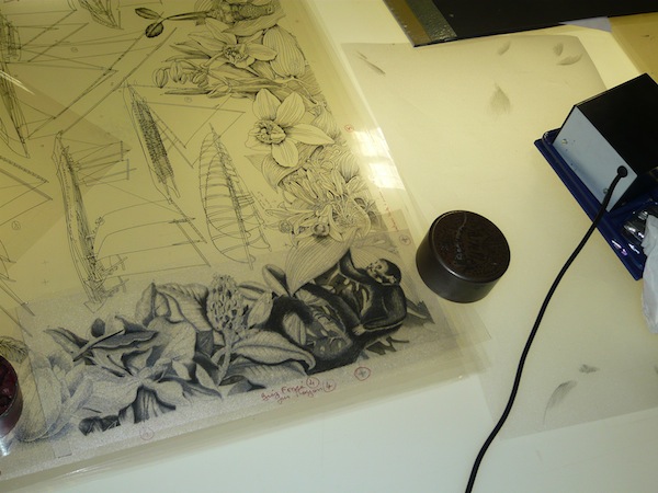 爱马仕丝巾为什么值得收藏,爱马仕丝巾一条