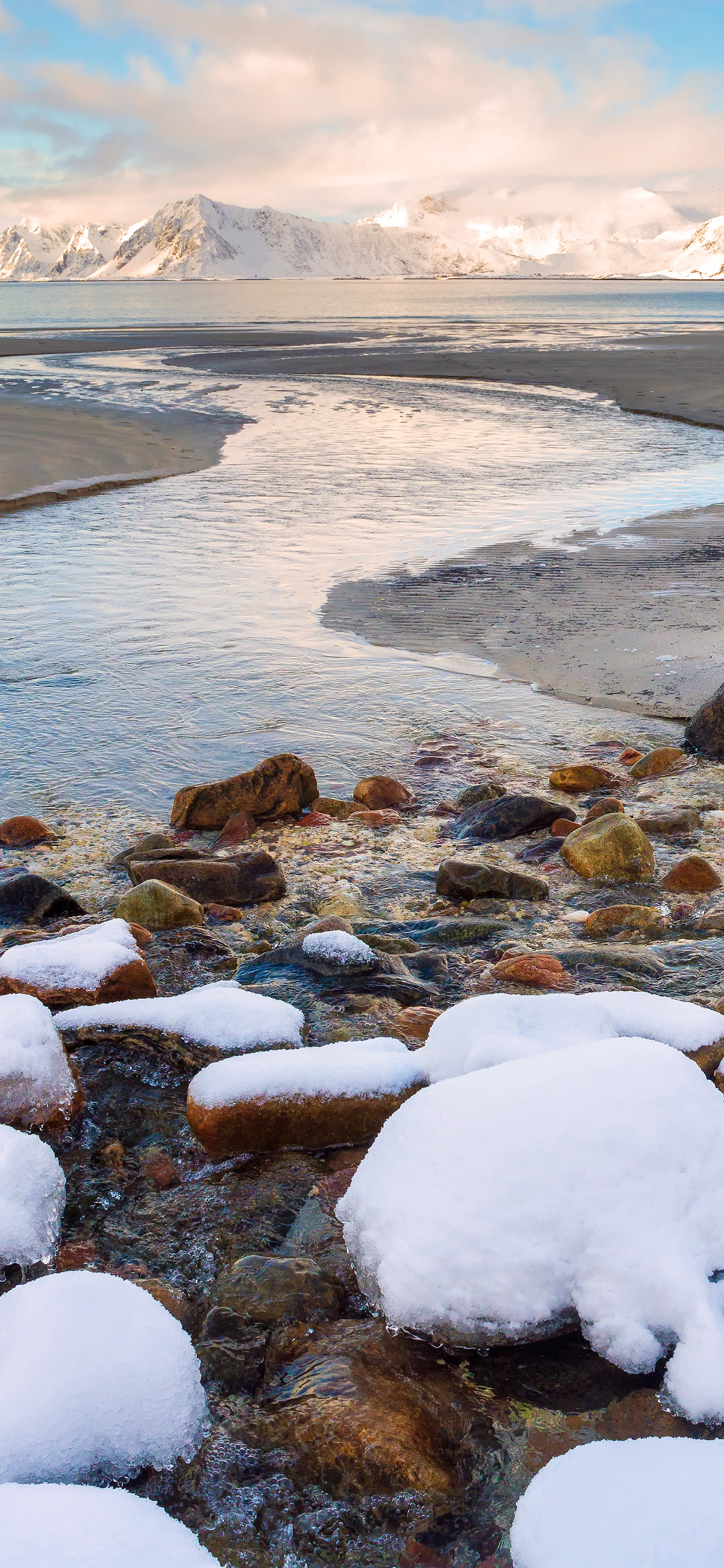 高清花和水的结合壁纸,风景壁纸高清全屏高级感组合