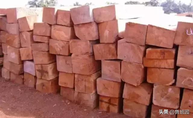 花梨木有哪几种木材,花梨木的十种鉴别方法