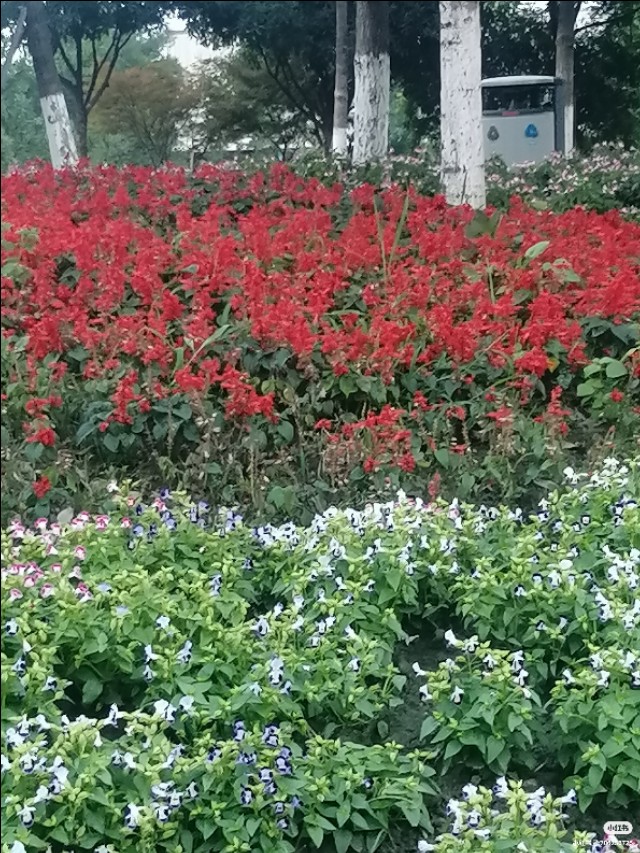 新能源汽车的利弊,二手新能源电动汽车利弊