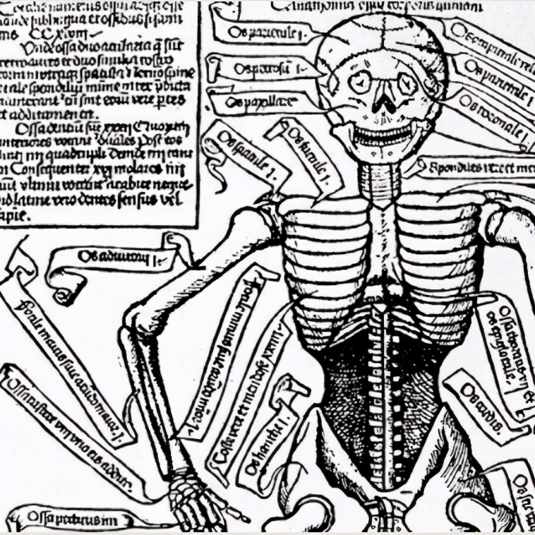 印度医院连死人都不放过电影,连死人都不放过印度电影