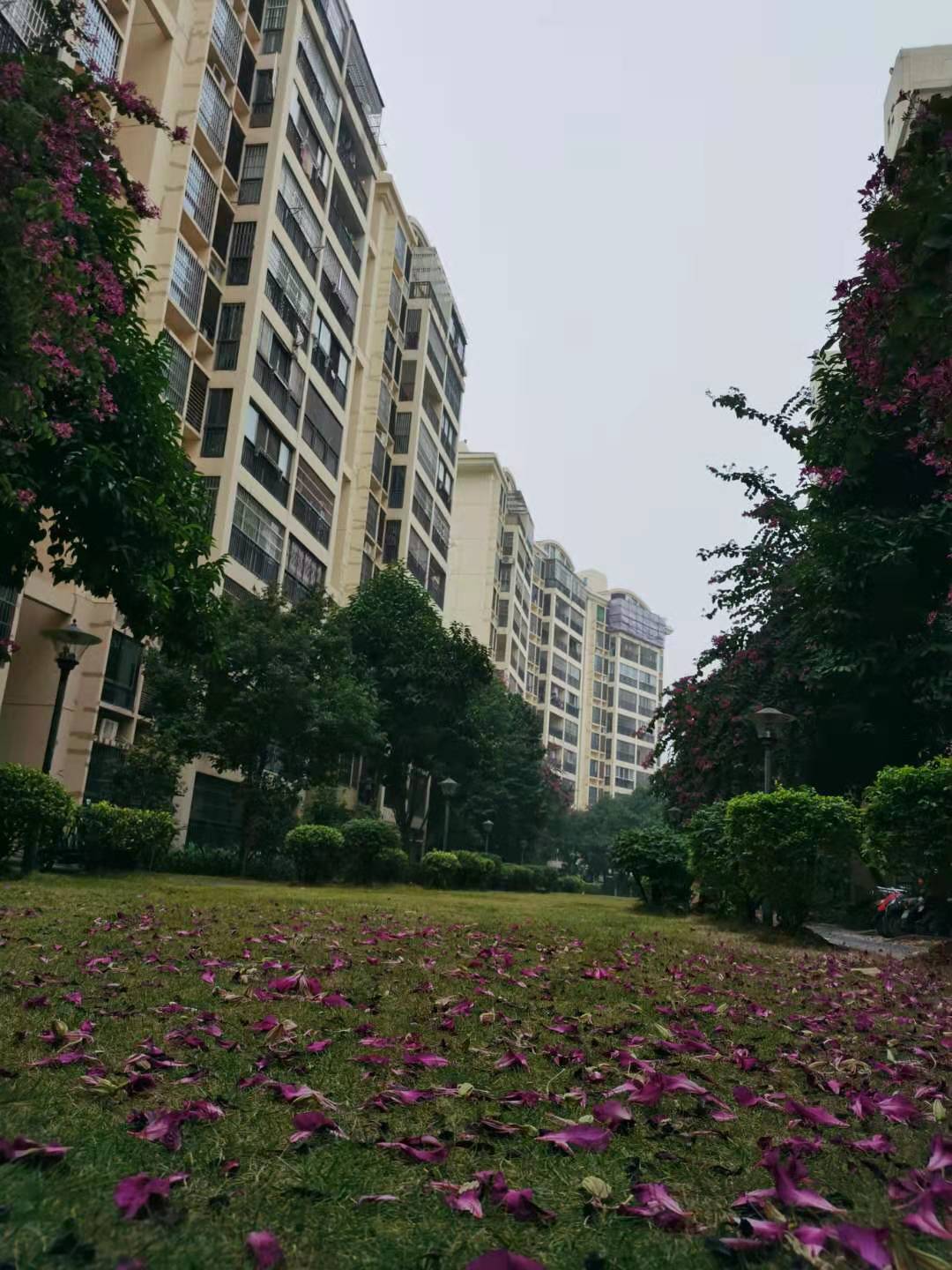 蚊子嗡嗡话你知：断崖式寒潮即将来袭