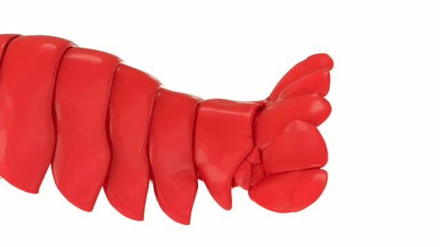 纽约时报年度最佳童书绘本推荐,纽约时报年度最佳图书