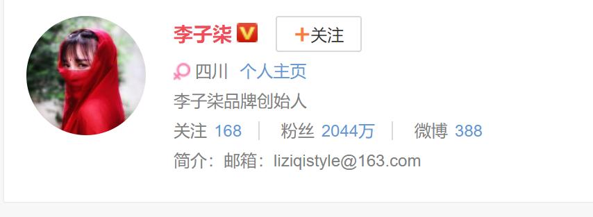 被央视点赞的李子柒算什么文化,李子柒被央视点赞