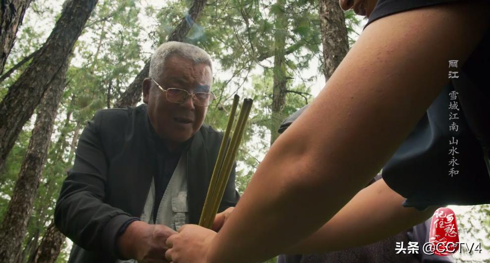 现在的丽江有多吸引人,丽江是一座来了上瘾的城市