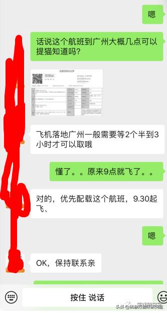 宠物托运全过程狗狗,宠物托运全过程国外