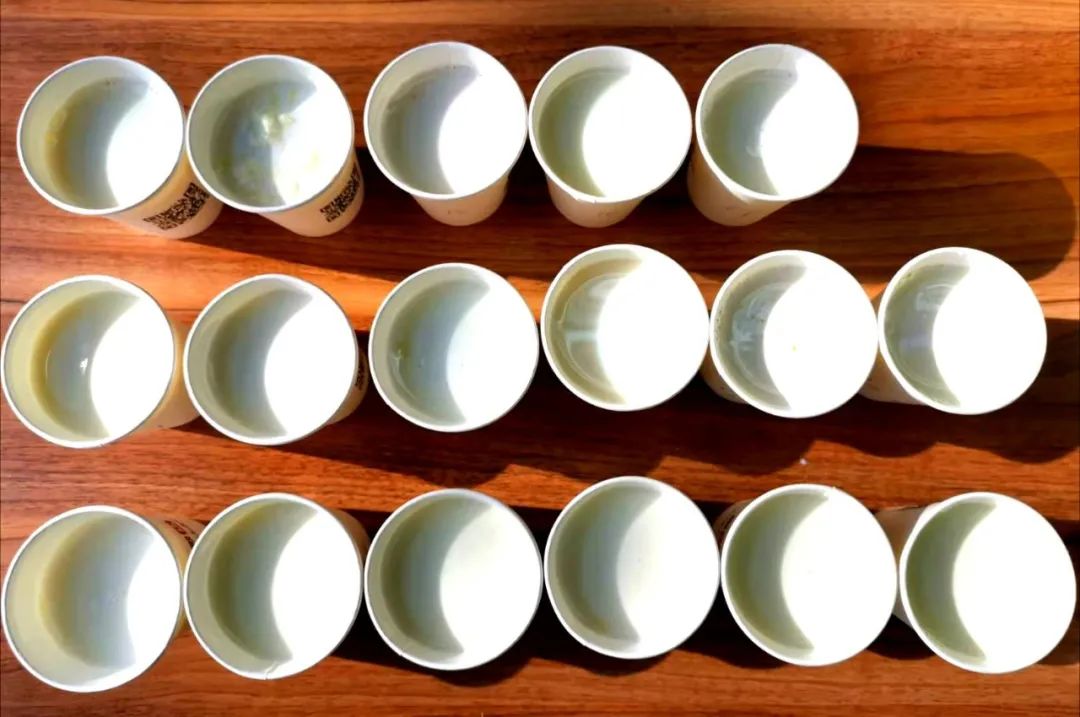 五岁儿童补钙营养奶粉推荐测评,婴幼儿高钙奶粉测评排行榜