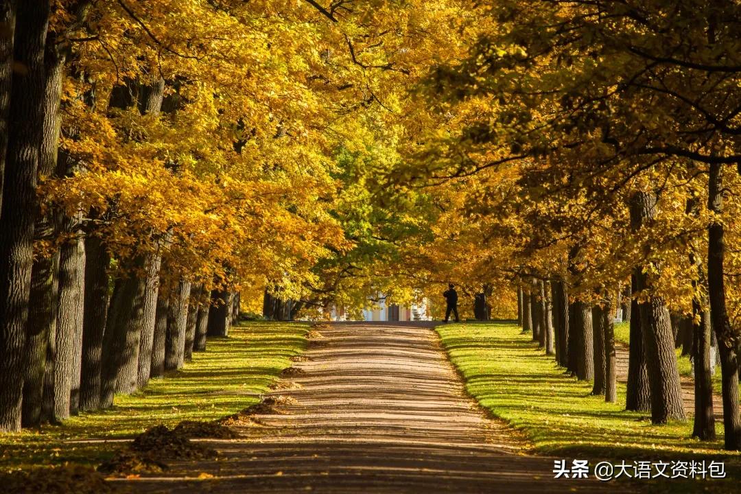 如果颜色也有七情六欲，哪种颜色最深情？最美中国色美得不可方物