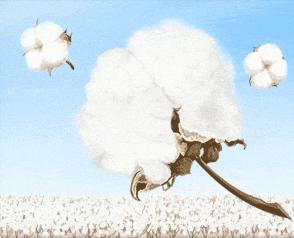 钱能买来的东西真的不值,钱能买到的东西都不值钱