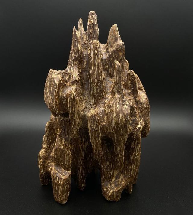 沉香最具收藏价值的种类,沉香的分类沉香的种类有哪些