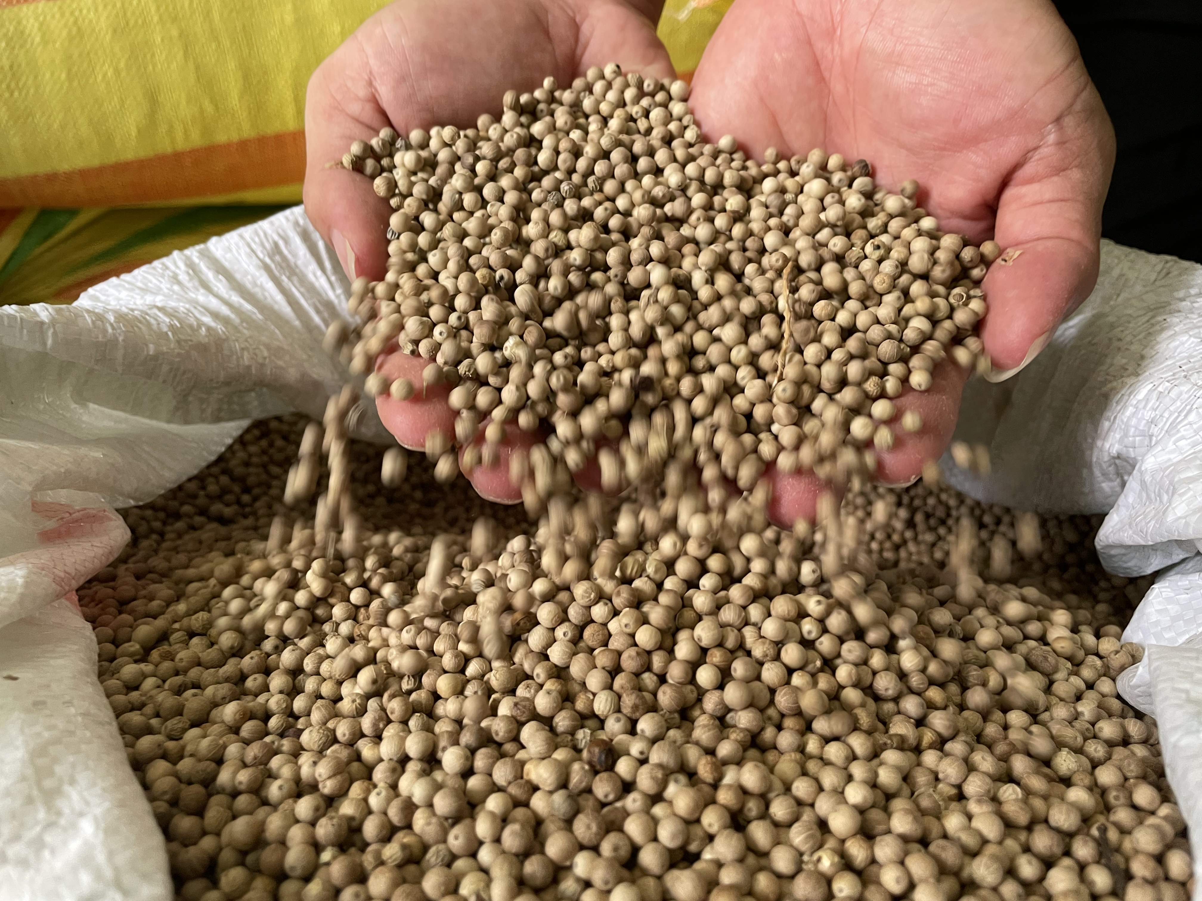 长丰电商服务站,电商服务站的建设情况