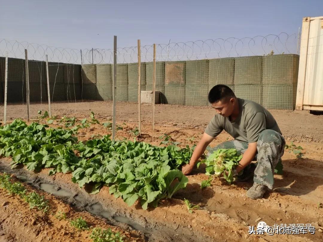 中国蓝盔解救,中国蓝盔是在马里吗