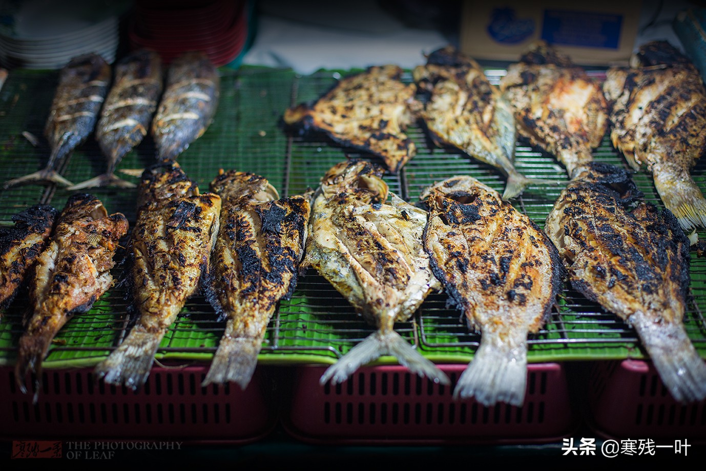 马来西亚沙巴海鲜馆,马来西亚夜市火爆大鱿鱼