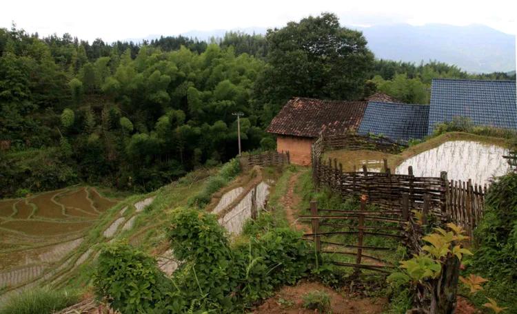 鐣呮父榛勬睙,榛勬睙鐣呮父涓浗